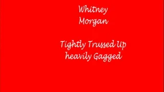 Whitney Morgan Quiet Captive