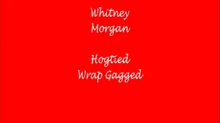 Whitney Morgan Hogtied Wrap Gagged