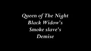 Black Widow's Smoke Slave's Demise