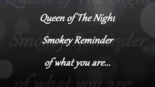 Smokey Reminder Vid