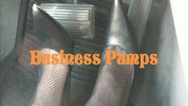 Bussiness Pumps Pumping