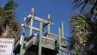 Public Smoking On The Observation Tower At State Park