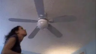 Dusty Fan