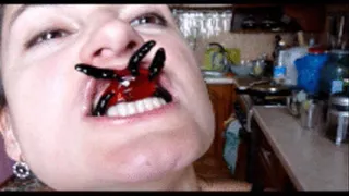 spiders in the mouth, th