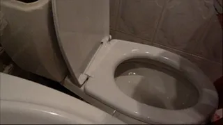 difficulty in toilet tf