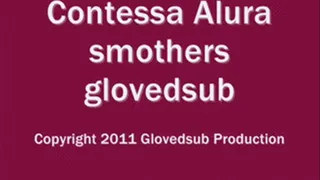 Contessa Alura Handgags Glovedsub