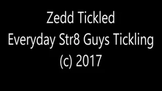 Zedd's Very Ticklish Experience