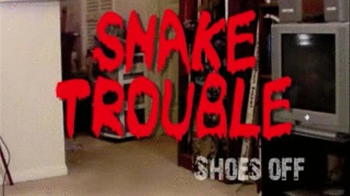 Snake Trouble SHOES OFF small