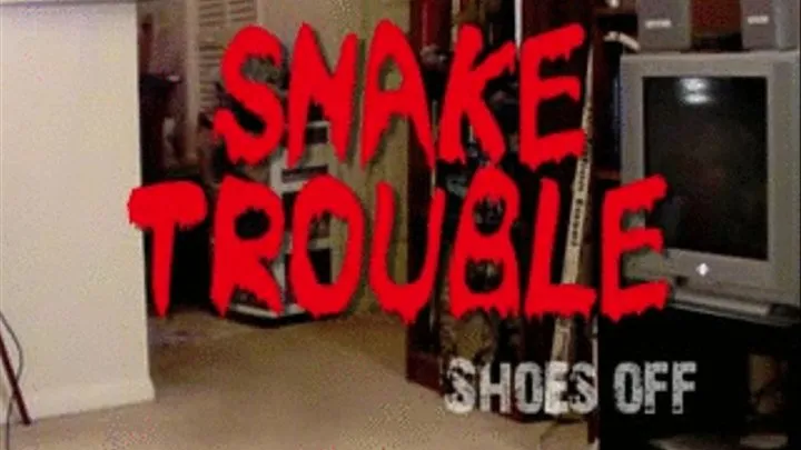 Snake Trouble SHOES ON