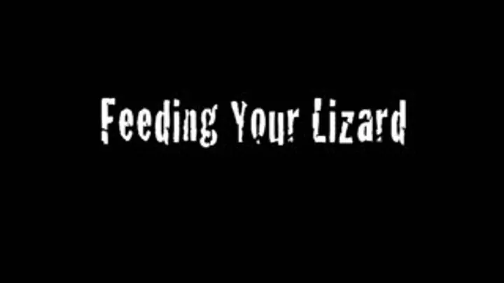 FEEDING YOUR LIZARD