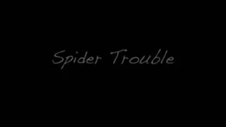 Spider Trouble