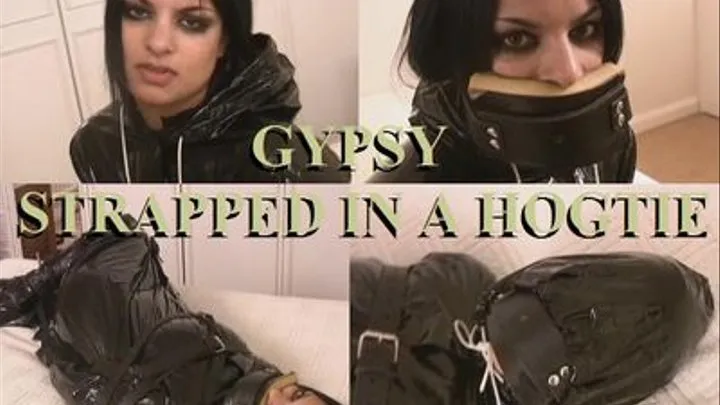 GYPSY STRAPPED IN A HOGTIE