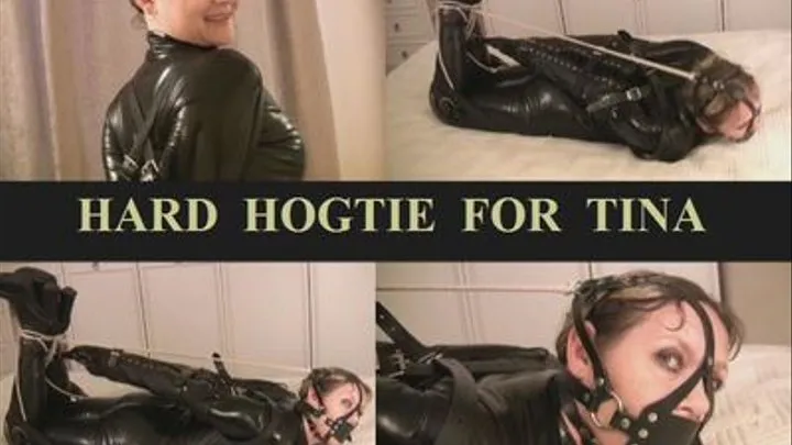 HARD HOGTIE FOR TINA