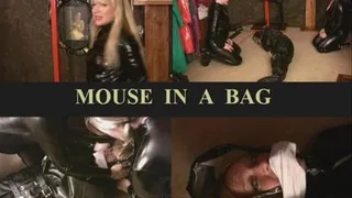 MOUSE IN A BAG