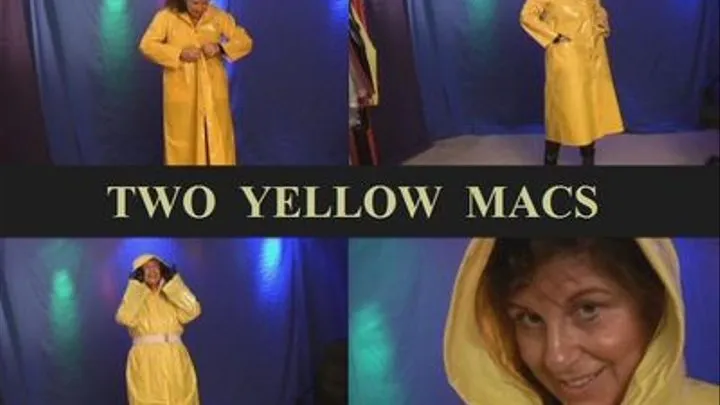 TWO YELLOW MACS