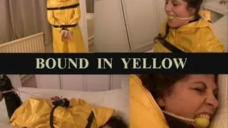 BOUND IN YELLOW