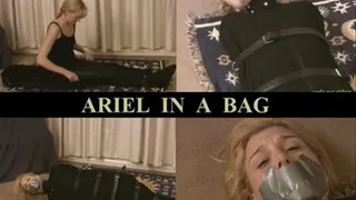 ARIEL IN A BAG