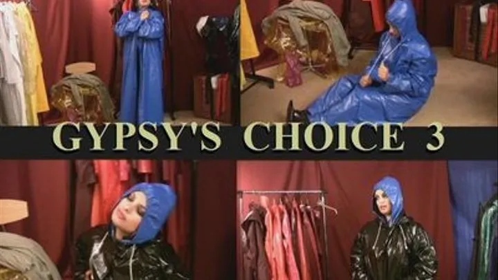 GYPSY'S CHOICE No. 3