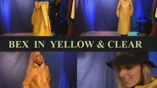 BEX IN YELLOW AND CLEAR