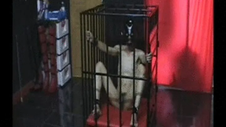 in the Cage-A