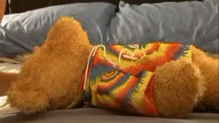 Fuck Me Teddy Bear