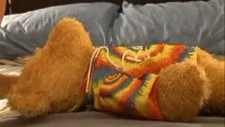 Fuck Me Teddy Bear