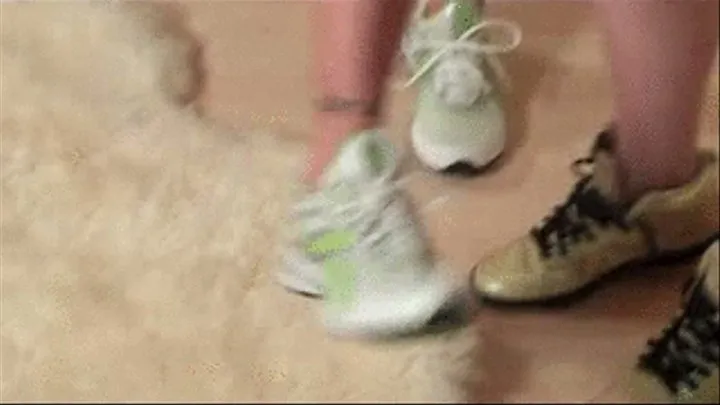 Tranny Sneaker Play