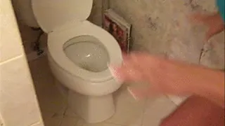 Cleaning My New Toilet