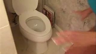 Filthy Toilet Slave