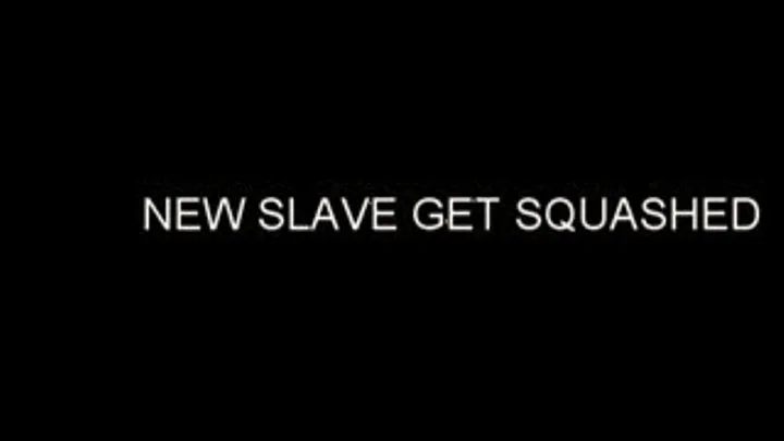 NEW SLAVE GET SQUASHED