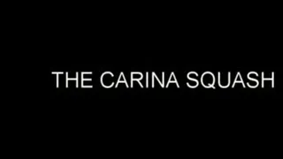 THE CARINA SQUASH