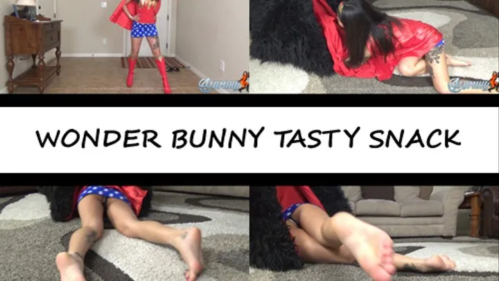 WONDER BUNNY TASTY SNACK