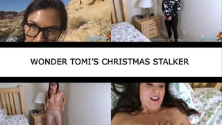 WONDER TOMI'S CHRISTMAS STALKER