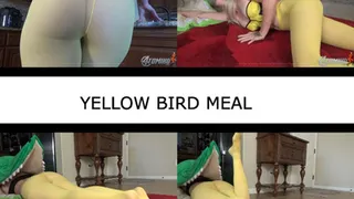 YELLOW BIRD MEAL