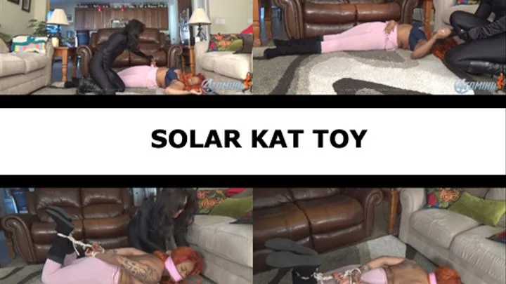 SOLAR KAT TOY