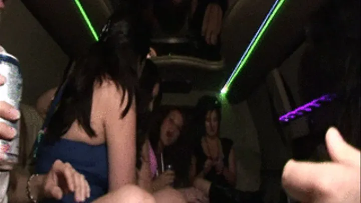 booze cruize in the limo naked sluts