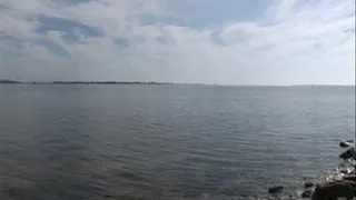 young latina naked on the bay in the sun