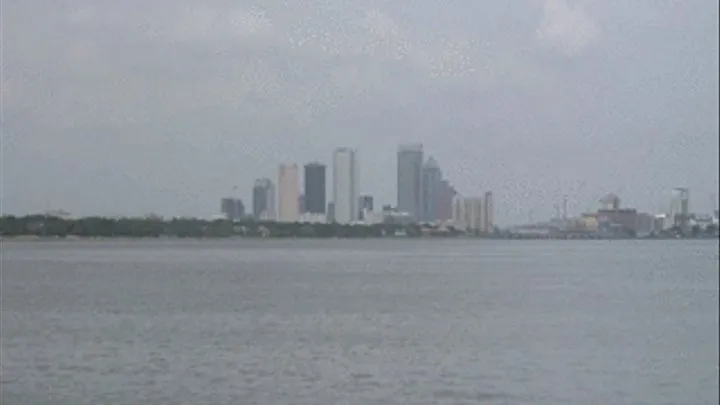 public flashing around the tampa bay