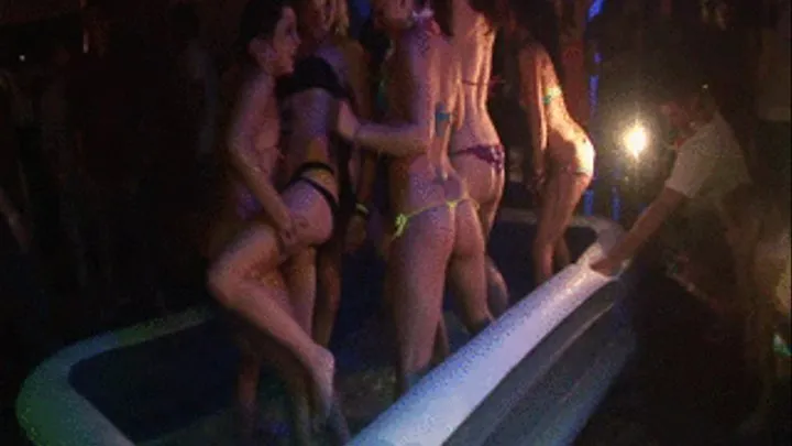 bikini booty shake contest sluts