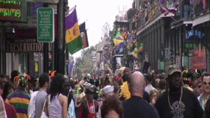 mardi gras daytime 1