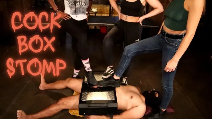 Cock Box Carnage - Trample Torment by Ebony Goddess Nyx, Missy Jane and Mistress Scarlett Morgan