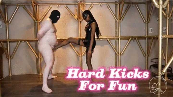 Hard Kicks For Fun