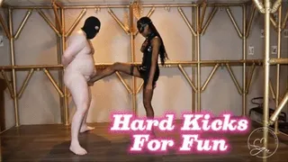Hard Kicks For Fun