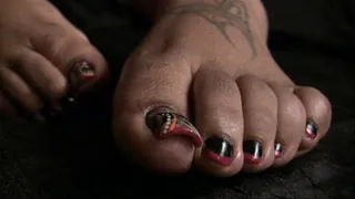 Butterfly Kiss' Toes- Up Close & Personal