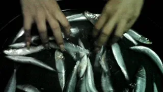 cleaning fishes using my long sharp nails