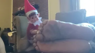 Wiggling Toes with Hermie The Elf (Dec 2023)