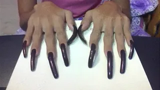 Sexy dark brown nails in flat box..