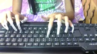 Zibra nails style typing..