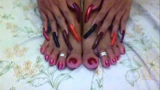 assorted colors nails and toes