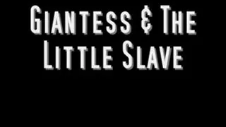 Giantess & the Little Slave
